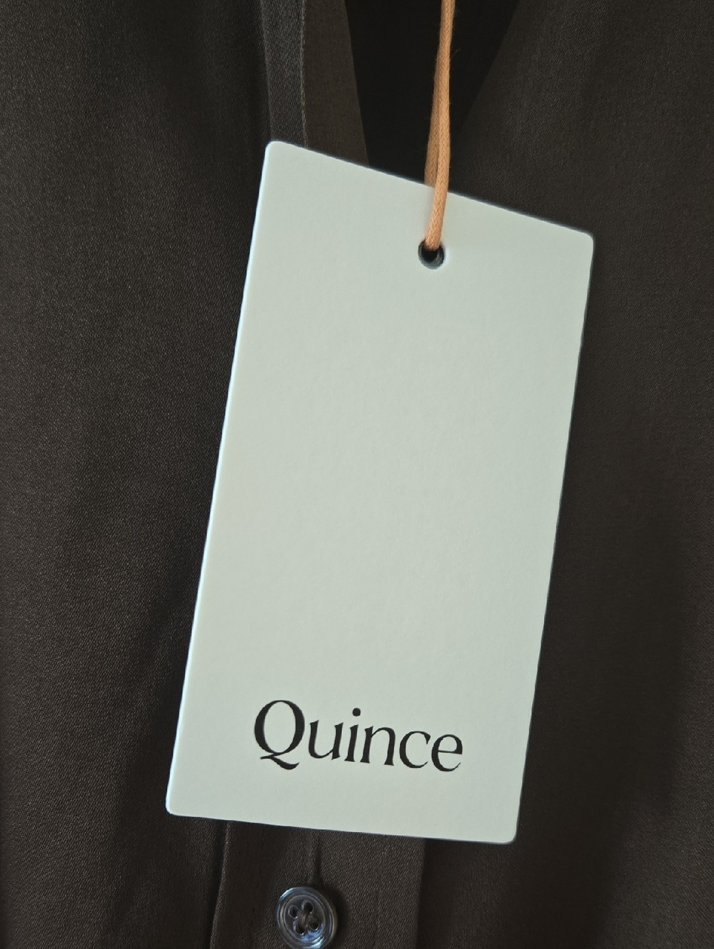 Quince Brown Silk Blend Button Dress with Tie, VGUC, With Tags, Quiet Lux, S - Picture 5 of 7